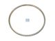 DT Spare Parts 3.11013 Zahnkranz, d: 363 mm, D: 393 mm, 129 teeth passend für MAN