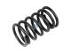 DT Spare Parts 3.13022 Ventilfeder, außen, D: 41,8 mm, L: 69 mm passend für MAN