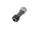 DT Spare Parts 3.13063 Einstellschraube, M10 x 1 passend für Multimarken