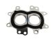 DT Spare Parts 3.18119 Dichtung, Abgaskrümmer passend für Multimarken