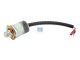 DT Spare Parts 3.37002 Öldrucksensor, M18 x 1,5, 0,25 bar, SPmax: 5 bar passend für MAN