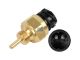 DT Spare Parts 3.37005 Temperatursensor, M16 x 1,5, SW: 27, L: 60 mm, 2 poles passend für Multimarken