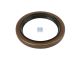 DT Spare Parts 3.50031 Wellendichtring, d: 55 mm, D: 75 mm, H1: 8 mm, H2: 9,2 mm passend für Multimarken