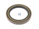 DT Spare Parts 3.60107 Wellendichtring, d: 87,3 mm, D: 120,8 mm, H: 15,4 mm passend für MAN
