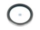 DT Spare Parts 3.60135 Wellendichtring, d: 85 mm, D: 105 mm, H: 12 mm passend für MAN