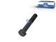 DT Spare Parts 3.65124 Federbolzen, M24 x 2, L: 140 mm, 10.9 passend für MAN