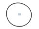 DT Spare Parts 3.75551 O-Ring, d: 87 mm, S: 3 mm passend für Multimarken