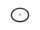 DT Spare Parts 3.89476 O-Ring, d: 26 mm, S: 2,5 mm passend für MAN