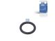 DT Spare Parts 3.89515 O-Ring, d: 19 mm, S: 3,5 mm passend für MAN