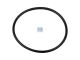 DT Spare Parts 3.89518 O-Ring, d: 102 mm, S: 5 mm passend für MAN