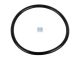 DT Spare Parts 3.89529 O-Ring, d: 85 mm, S: 5,3 mm passend für MAN