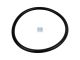 DT Spare Parts 3.89531 O-Ring, d: 82 mm, S: 5,5 mm passend für MAN