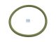 DT Spare Parts 3.89532 O-Ring, d: 74 mm, S: 5 mm passend für MAN