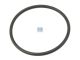 DT Spare Parts 3.89539 O-Ring, d: 50 mm, S: 2 mm passend für MAN