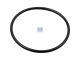DT Spare Parts 3.89550 O-Ring, d: 109,2 mm, S: 5,7 mm passend für MAN