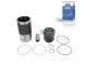 DT Spare Parts 3.90022 Kolben mit Laufbuchse, D: 128 mm passend für MAN