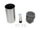 DT Spare Parts 3.90131 Kolben mit Laufbuchse, D: 108 mm passend für MAN