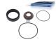 DT Spare Parts 3.95101 Dichtringsatz, Schaltzylinder passend für Multimarken