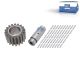 DT Spare Parts 3.96077 Planetenradsatz passend für MAN