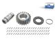 DT Spare Parts 3.96078 Planetenradsatz passend für MAN