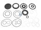 DT Spare Parts 3.96921 Dichtsatz, Lenkgetriebe passend für Multimarken
