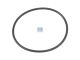 DT Spare Parts 4.20017 O-Ring, d: 115 mm, S: 5 mm passend für Mercedes-Benz
