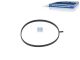 DT Spare Parts 4.20060 Dichtring, Ansaugkrümmer passend für Mercedes-Benz