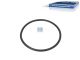 DT Spare Parts 4.20062 Dichtring, Ansaugschlauch passend für Mercedes-Benz