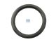 DT Spare Parts 4.20300 O-Ring, d: 30 mm, S: 4,5 mm passend für Multimarken