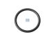 DT Spare Parts 4.20313 O-Ring, d: 26,2 mm, S: 3 mm passend für Mercedes-Benz