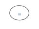 DT Spare Parts 4.20321 O-Ring, d: 94 mm, S: 3,5 mm passend für Mercedes-Benz