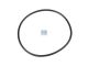 DT Spare Parts 4.20329 O-Ring, d: 78 mm, S: 3 mm passend für Multimarken