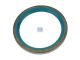 DT Spare Parts 4.20365 Wellendichtring, d: 100 mm, D: 125 mm, H: 13 mm passend für Multimarken