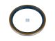 DT Spare Parts 4.20366 Wellendichtring, d: 100 mm, D: 120 mm, H: 13 mm passend für Multimarken
