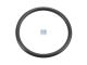 DT Spare Parts 4.20445 O-Ring, d: 25 mm, S: 2,3 mm passend für Mercedes-Benz