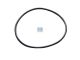 DT Spare Parts 4.20482 O-Ring, d: 81 mm, S: 3 mm passend für Mercedes-Benz