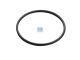 DT Spare Parts 4.20486 O-Ring, d: 114 mm, S: 5,6 mm passend für Mercedes-Benz