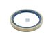 DT Spare Parts 4.20510 Wellendichtring, d: 85 mm, D: 105 mm, H: 13 mm passend für Multimarken