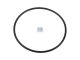 DT Spare Parts 4.20608 O-Ring, d: 80 mm, S: 3 mm passend für Multimarken