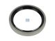 DT Spare Parts 4.20618 Wellendichtring, d: 80 mm, D: 100 mm, H: 12 mm passend für Multimarken