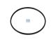 DT Spare Parts 4.20818 Dichtring, Laufbuchse, d: 149 mm, S: 4,8 mm, H: 7 mm passend für Mercedes-Benz