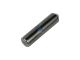 DT Spare Parts 4.60493 Rastbolzen, kurz, D: 10 mm, L: 41,5 mm passend für Mercedes-Benz