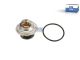 DT Spare Parts 4.60668 Thermostatsatz, 71 °C passend für Multimarken
