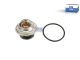 DT Spare Parts 4.60945 Thermostat, 60 °C passend für Mercedes-Benz