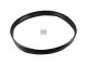 DT Spare Parts 4.60990 Gummiring, für Lüfter, D: 630 mm passend für Mercedes-Benz
