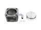 DT Spare Parts 4.61653 Kolben-Laufbuchsensatz, Kompressor, D: 100 mm, H: 101 mm passend für Mercedes-Benz