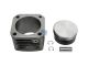 DT Spare Parts 4.61686 Kolben-Laufbuchsensatz, Kompressor, D: 100 mm, H: 101 mm passend für Mercedes-Benz