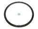 DT Spare Parts 4.62100 Zahnkranz, d: 432 mm, D: 485 mm, 160 teeth passend für Mercedes-Benz