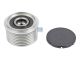 DT Spare Parts 4.62703 Riemenscheibe, M16 x 1,5, DP: 57,4 mm, W: 45,5 mm, 8 grooves passend für Mercedes-Benz