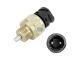DT Spare Parts 4.63102 Schalter, M18 x 1,5, SW: 27, 2 poles passend für Multimarken